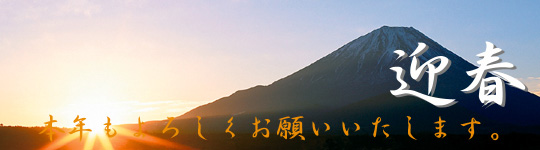 2010ǯ��