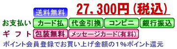 27300