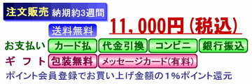 J11000